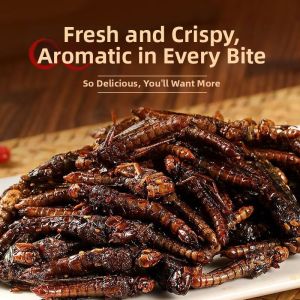Ready-to-eat Crispy Five-spice Fried Locust & Pupa