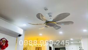 Quạt trần hiện đại 6 cánh trắng trang trí điều khiển từ xa loại I dành cho phòng kháchchung cưbiệt thự... Quạt Trần Tiết Kiệm Điện Đài Loan Quạt Trần Có Đèn Led Siêu Sáng - Lazada
