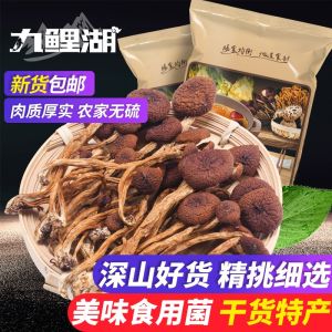 Jiulei Lake Agrocybe Cylindracea Jiangxi Agrocybe Cylindracea Open Umbrella Tea Mushroom Mushroom Shanzhen Dry Goods 160G