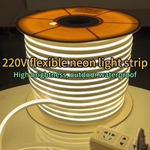 LED Strip Light 10-50M Warm/Cold Decor Led neon Strip Room Decor Strip Light Strip Light For Ceiling