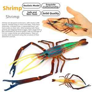 Educational Gift Realistic Boston Lobster Model Toy