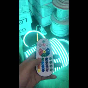 [Support Lalamove Bulk Order] Neon RGB Strip Outdoor Waterproof Flexible Neon Strip Smart Bluetooth App Remote Control Change Color Dimmable Light Strip Home Ceiling Cove Decoration