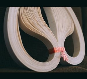 อะไหล่เครื่องซีล สายพานเทฟล่อน สายพานตะขาบ คุณภาพเยี่ยม ทนทาน ใช้งานง่าย by อาร์-ไหล่ (R-LAI)