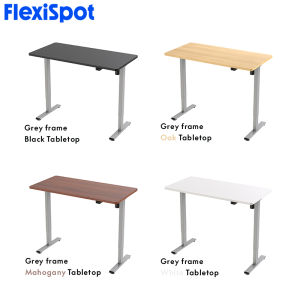 FlexiSpot E2 Standing Desk Height Adjustable Table Single Motor Ergonomic Sit-to-Stand Workstation
