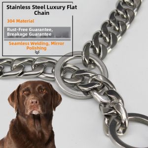 petlimit | Stainless Steel 304 P Chain Dog Collar and Leash