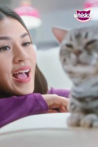 Whiskas Adult 1+ Ocean Fish 480 gr makanan kering kucing dewasa rasa ikan laut