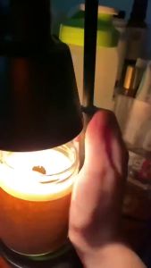 🇸🇬【In stock】Candle heater dimmable control heater melts candle light wax for bedroom aromatherapy candle halogen bulb