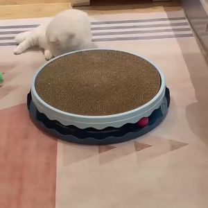 Cat Toy Cat Scratch Board bed Pet Toy Replaceable Scratch Resistant Claw Scratching Play Fun Supplies Kitten