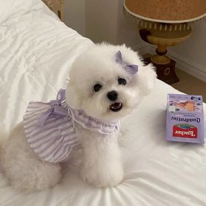 Small Dog & Cat Summer Princess Dress