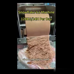 120kg/24h Commercial Electric Bingsu Machine Snow Flake Ice Maker