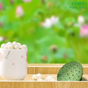 SHIYUEDAOTIAN | Soup/Porridge Mix 250g Lotus Seeds 100g*2 Lily Bulbs