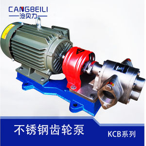 Pump เครื่องสูบแรงดันแบบมอเตอร์ไฟฟ้า วัสดุสแตนเลส 304 เข็มขัดส่งกำลังแรงงาน อุปกรณ์อุตสาหกรรม เทคโนโลยีการผลิต