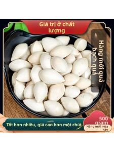 Hạt Bạch Quả Khô