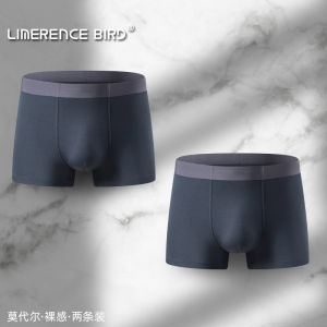 Red Ice Silk Modal Breathable Boxer Shorts Mens Underwear Seamless Sport Style mid Waist Youth Suitable Plain Pattern