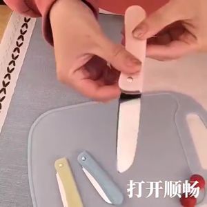 TJS PISAU BUAH LIPAT KERAMIK GAGANG PLASTIK PORTABLE DAPUR SERBAGUNA PR073