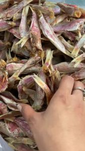 KHÔ CÁ PHÈN HỒNG - Gia Vị Vừa Ăn 1kg