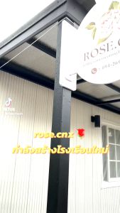 กุหลาบเก่าแก่ของอังกฤษ บิชอป คาสเซิล Bishops castle rose (อังกฤษ)