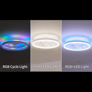 Dundun Acrylic RGB Fan Light 55W Silent Ceiling Fan Light 6 Speeds Low Energy Consumption Supports APP Control