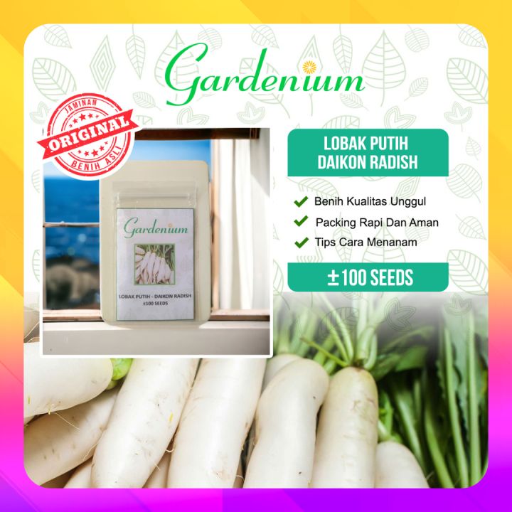 Gardenium Benih Lobak Putih Daikon Radish Tanaman Sayur Unggul Bibit