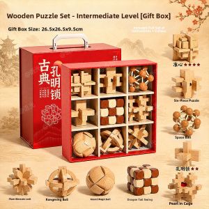YUGUANG | Intelligence Improving Puzzle Set