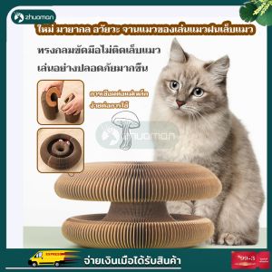 เล็บแมวกระดาษลูกฟูก รางบอลสำหรับแมว ที่ลับเล็บ