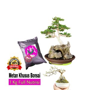 Jual Media Tanam Untuk Bonsai