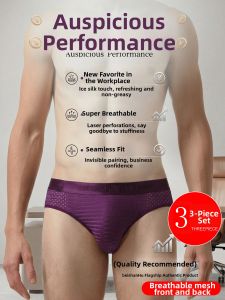 BEISHANHU | Breathable Men Purple Ice Silk Underwear 3-Piece Briefs