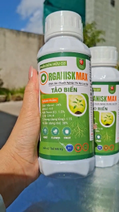 (Chai 500ml) Phân Bón Hữu Cơ ORGANISK MAX - TẢO BIỂN: kích rễ phục hồi cây mập cơi mập chồi xanh lá to lá dày lá dưỡng bông mập bông giảm rụng trái non tăng chất lượng trái giải độc đất giảm tress cây trồng