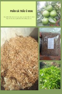 1 KG PHÂN GÀ TRẤU Ủ HOAI ( PHÂN HỮU CƠ NÔNG NGHIỆP)