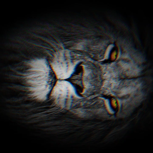 SE2 Super Tali Jam Huawei Watch 46mm GT 6 5 4 3 GT6 GT5 GT4 GT3 Pro - Strap 22mm Stainless Steel Premium 5 Rows