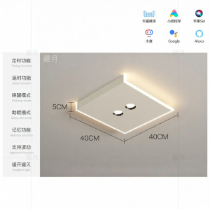 Modern LED Ceiling Light for Living Room Bedroom