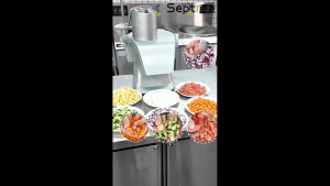 Máy Thái Rau Củ Quả Đa Năng Septree GJ808 Thái Lát Sợi Hạt Lựu Nhanh Gọn. BH 1 Năm