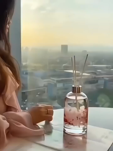 🔥Home Fragrance Air Freshener 室内香薰 Pewangi Rumah