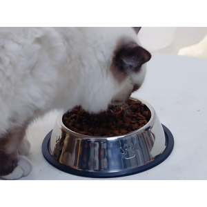 Chén bát đựng thức ăn cho chó mèo chất liệu inox không rỉ chống lật bát cho chó mèo-NIEVE
