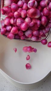 DƯA CỦ HÀNH TÍM Chua Ngọt Giòn Thơm Mới và lên màu đẹp món ngon ngày tết- ĐẶC SẢN MINH TRIẾT