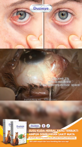 Duzi Eye - Susu Kuda Lombok Bubuk Herbal Alami 200gr Untuk Menjaga Kesehatan Mata Paket 1 Box