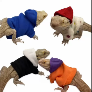 QUẦN ÁO THẰN LẰN BÒ SÁT ÁO HOODIE ÁO PHÔNG DÀNH CHO THÚ CƯNG THẰN LẰN BÒ SÁT