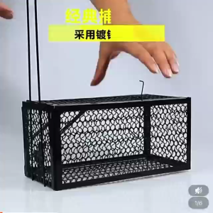 Large mousetrap the cage for catching mice alive is made of sturdy steel.