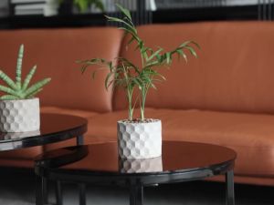 Set 2 Chậu cây xi măng SeeArt  hàng chính hãng  thích hợp mọi loại cây cảnh trong và ngoài nhà  văn phòng quán cà phê  decor bàn làm việc