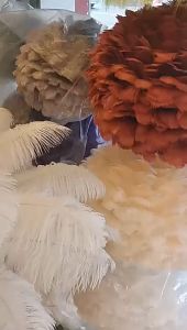 Đèn Thả Trần Lông Vũ Đèn Chùm Lông Vũ Hiện Đại 2 Chế Độ Màu Decor Phòng Khách/Khách Sạn