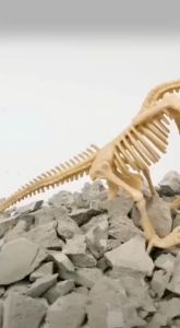 1 Set Mainan Fosil Dinosaurus Anak / Edukasi Arkeologi Dino Fosil Gypsum Archaeology Toys