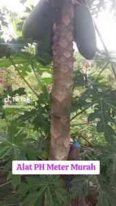 MEGA Alat Ukur Kelembapan & pH Tanah Digital 3 in 1 LCD - HEDAO