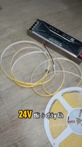 Cuộn Led COB 24V 10m Vàng/Tráng/Trung Tính 312 Chip LED/M Siêu Sáng