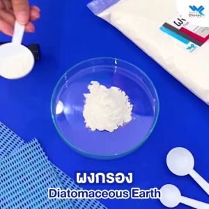 ผงกรองสระว่ายน้ำ DE (Diatomaceous Earth) ดินเบา สำหรับถังกรองผ้า สำหรับสระว่ายน้ำ - world chemical
