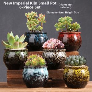 XIWUSHOUJIANG | Cute Animal-themed Succulent Planter Pot