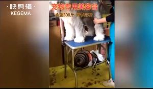 Pet grooming table foldable cat and dog grooming table cat and dog bathing hair blowing trimming groomin