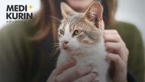 PettoGard Spray Antimikrobial Untuk Penjagaan Kulit & Rawatan Luka Kucing 100ml (Cepat sembuh untuk jangkitan kurap fungus alahan & bintik merah) [MEDIKURIN]