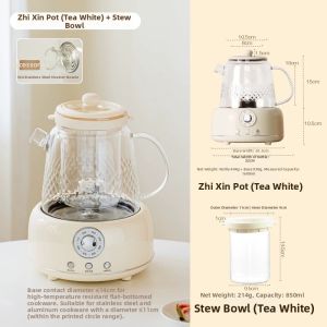 SHUEHO | Heat-Resistant Glass Tea Kettle