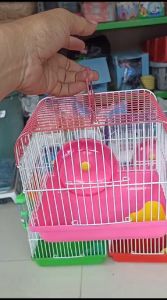 Kandang Hamster Smart & Oval: Pilihan Terbaik untuk Hamster Suger & Glidet