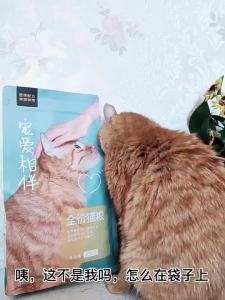 YANXUAN | Adult Fish Oil Cat Food